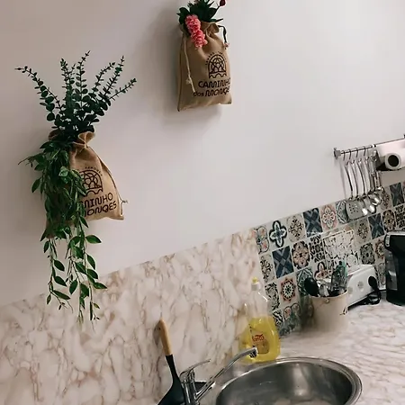 Casa Dos Artistas 民宿 维塞乌