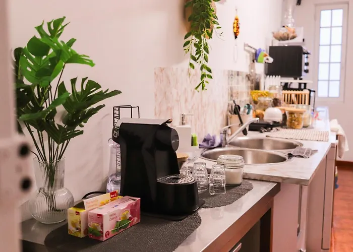 Casa Dos Artistas * Визеу